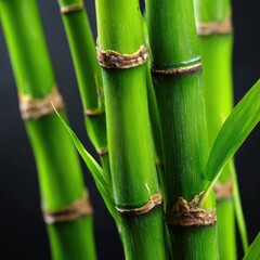Obraz premium Close-up view of vibrant green bamboo stalks with intricate details and natural textures.