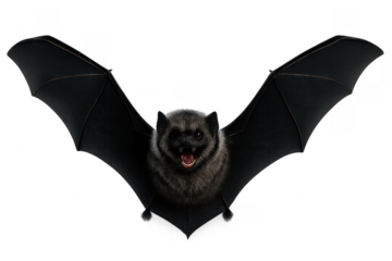 Scary bat showing teeth flying with transparent background