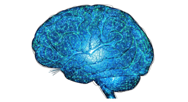 Abstract blue brain made of glowing particles and connections, representing intelligence and thought, isolated on transparent background