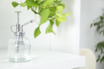 Spray bottle and potted houseplant on white shelf, closeup. Space for text