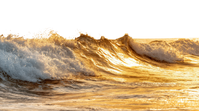 Ocean Waves at Sunset: Ocean waves rolling in at sunset with golden reflections on the water, isolated on a Transparent background, PNG file.