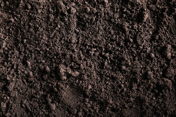 Fresh soil as background, top view. Organic matter