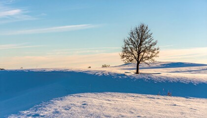 Lone Winter Tree on a Snow Dune Under Soft Light