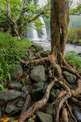 Fototapeta premium Thailand, waterfall, asia, mountains beautiful view, 