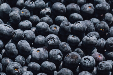 blueberries in a bowl