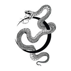 Obraz premium snake moon.eps