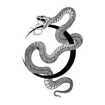 snake moon.eps