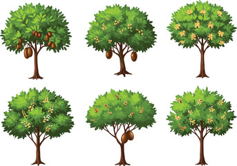 Cartoon fruit trees with pods and flowers, botanical illustration set, educational plant growth stages, agriculture concept, vector flat design, isolated on white background