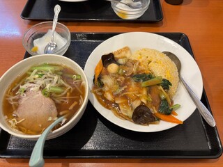 chicken and vegetable soup