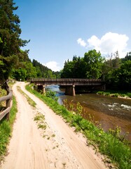 Wooden bridge over a river in a lush forest