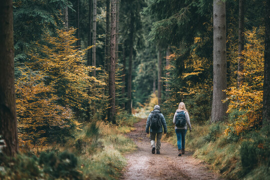 Couple hiking through a colorful forest path in autumn near a peaceful nature trail