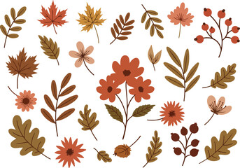 image_Botanical_doodle_bac_seed862313_1756366456212_2