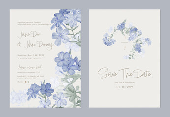 Wedding invitation and save the date template set with a minimalist design and clusters of watercolor illustrations of Cape leadwort flowers and grayish-green leaves on a light brown background