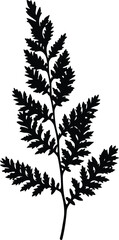 image_Black_Silhouette_of__seed726485_1756353440405_1