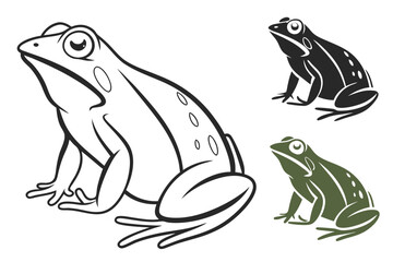 Three frogs minimal illustration amphibian animal