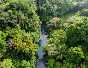Lush tropical river winding through dense green forest canopy