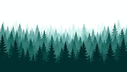Fototapeta premium A serene vector illustration showcases a dense forest of evergreen trees in varying shades of green, creating a tranquil and visually appealing landscape against a clean, white sky.