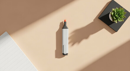 Flat lay of a white marker a notebook and a succulent plant on a beige surface with dappled light