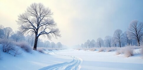 Obraz premium Stark, snow-covered branches reach towards a pale winter sky, revealing a desolate yet beautiful landscape Frozen ground, leafless trees, cold, winter stillness , winter background, barren