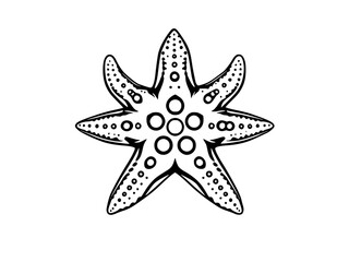 golden star on white background