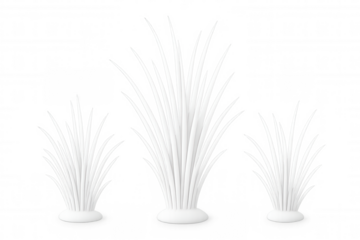 Minimalist and modern aesthetic created by three white grass tufts of varying sizes on oval bases against a transparent background