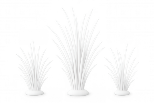 Minimalist and modern aesthetic created by three white grass tufts of varying sizes on oval bases against a transparent background