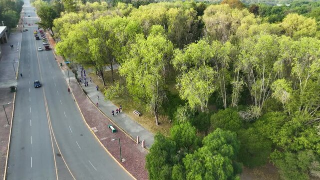 Carretera principal en zona urbana con espacio para peatones