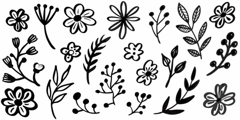 Collection of hand drawn black and white floral elements and botanical illustrations