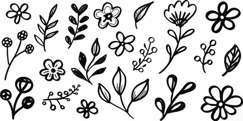 Collection of hand drawn black floral elements and leaves on a white background