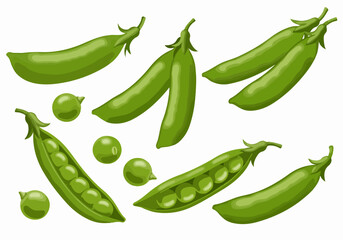 Hair clips and butterfly with transparent background