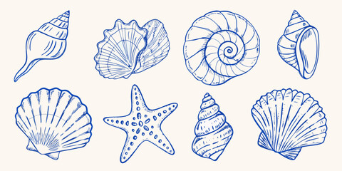 Collection of hand drawn blue line art seashells and starfish on a cream background