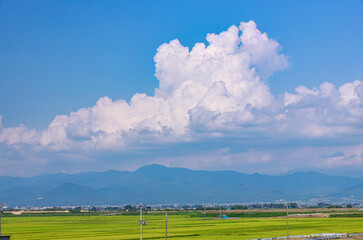 夏の日差しに輝く田園風景