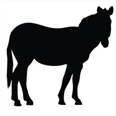 Obraz premium zebra silhouette on whit background 