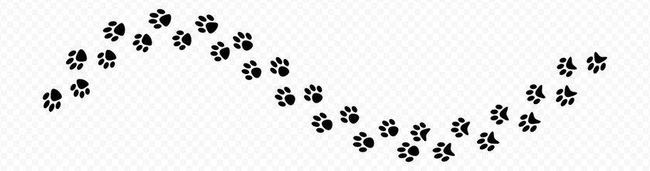 Paw print of dog isolated on transparent background. cat paw print. cat walk foot print. Paw print of dog PNG