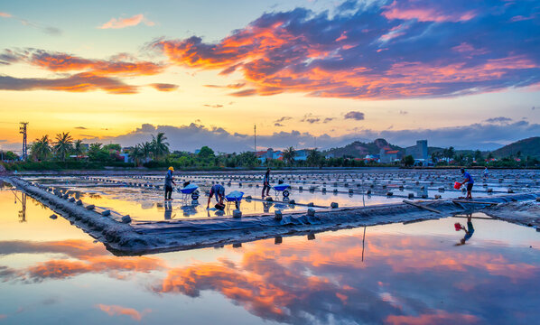 The salt fields at sunset are beautiful, reflecting the sky onto the sparkling water as many workers harvest salt in time for the end of the day in Hon Khoi, Khanh Hoa, Vietnam