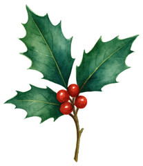 Vibrant Red Berries with Dark Green Holly Leaves