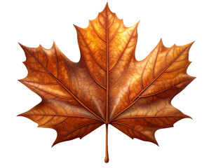Obraz premium Fallen Maple Leaf in Autumn Brown with Soft Shadow Realistic 3D Render