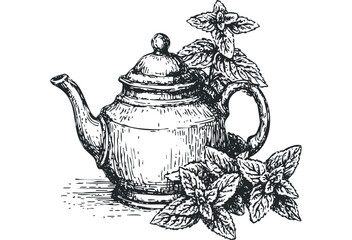 Vintage Teapot with Fresh Mint Leaves Hand Drawn Sketch. Vector hand drawn illustration
