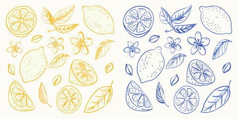 Hand drawn watercolor lemons and leaves in yellow and blue on a white background