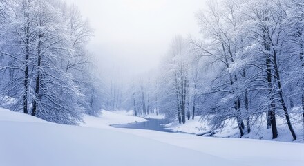 Obraz premium Winter Wonderland Serene Forest Scene in the Snowy Landscape with a Clear, Calm River