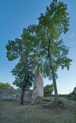 Fototapete bei efototapeten.de bestellen   