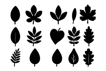 Leaf silhouette icon set. Various nature foliage and plant shapes. Black botanical vector illustration collection. Simple leaves graphics isolated for eco and bio design.