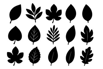 Leaf silhouette icon set. Black plant and tree leaves collection. Nature, foliage, and floral elements. Vector illustration for eco, bio, and organic design concepts. Isolated.