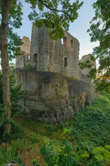 Fototapete bei efototapeten.de bestellen   