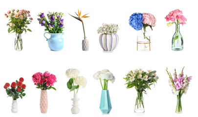 Set of many vases with different beautiful flowers on white background