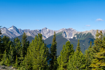 Majestic mountain range in Banff surrounded by evergreen trees on a clear sunny day