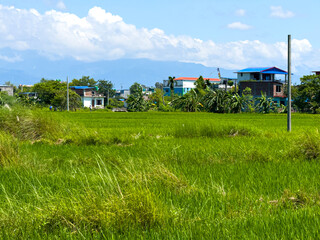 rural landscape with houses clean and latest 