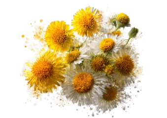 Close-up bouquet of yellow dandelions and white daisies