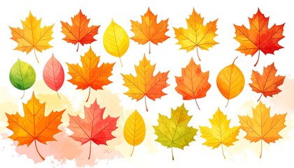 Fototapeta premium Vibrant autumn leaves in various shades of orange, red, yellow, and green, presented on a soft, watercolor background.