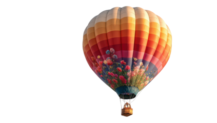 Hot air balloon in flight